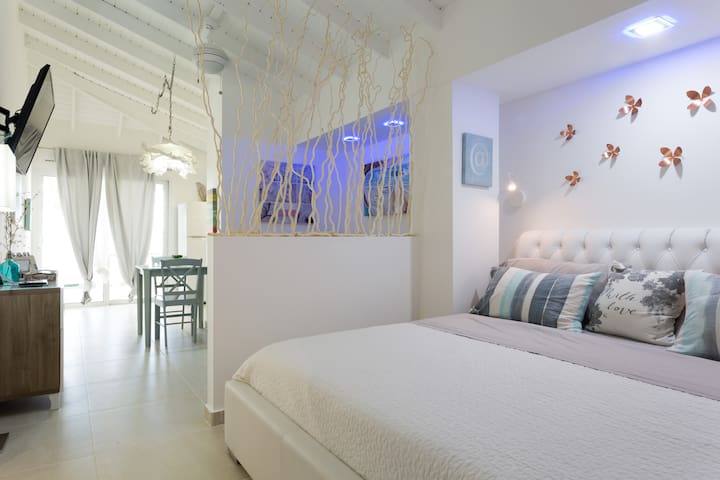 New renovated big studio Palm Beach
