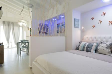 New renovated big studio Palm Beach