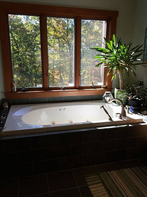 Master Bath jetted tub.
