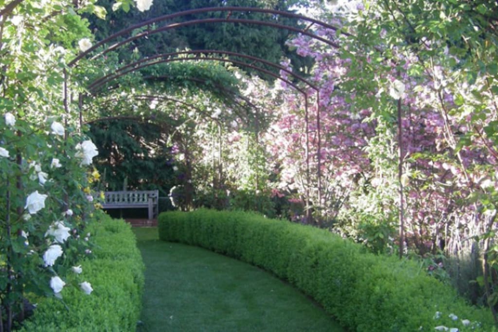 enjoy our beautiful garden
