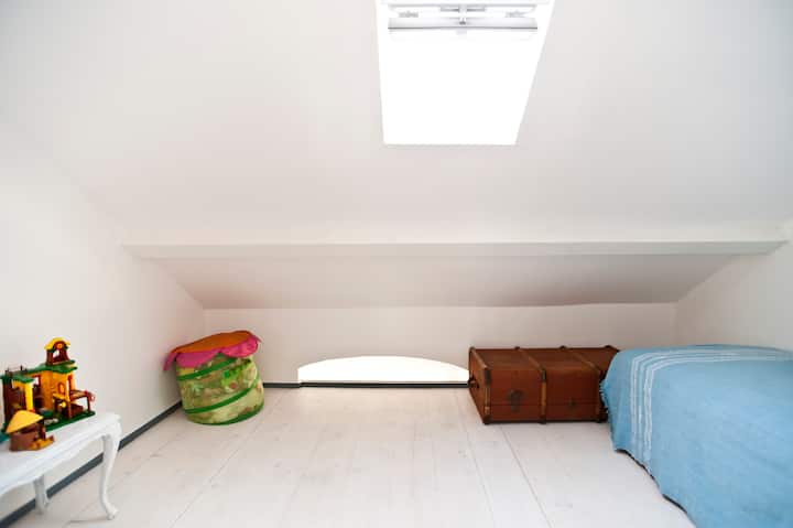 pièce individuelle sous le toit avec toit-terrasse