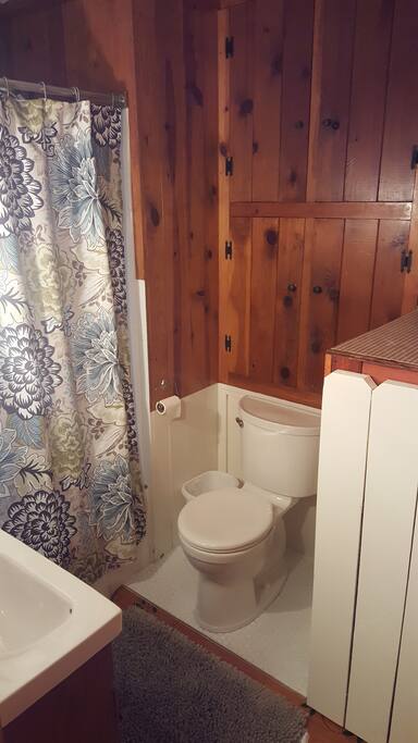 Bathroom off the entry way
