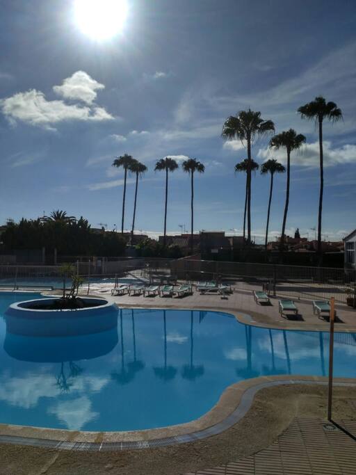 The swimming pool