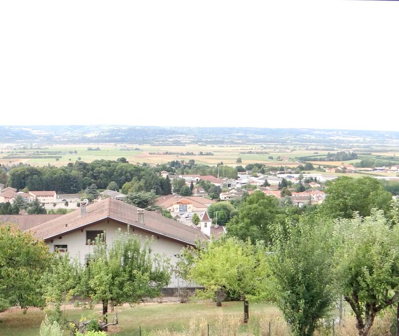 Nice view from room