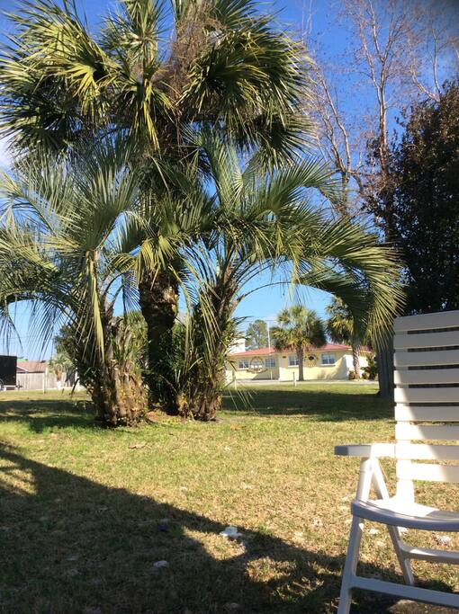 Relaxing view and place to relax out bedroom door.