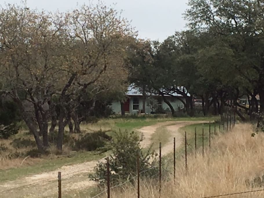 Welcome to Buffalo Bend Ranch House.