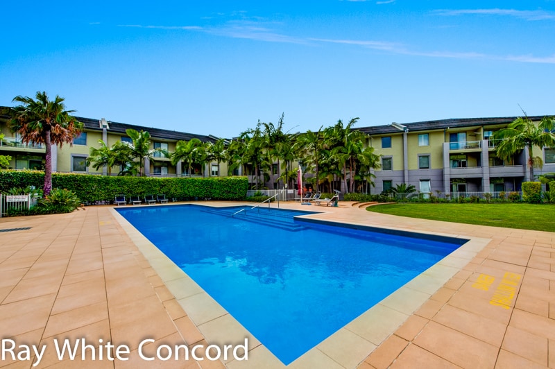 A resort-style swimming pool is surrounded by lush greenery and palm trees, complemented by spacious paved areas for lounging. The clear blue water reflects the sky, and several sun loungers line the pool's edge for relaxation.