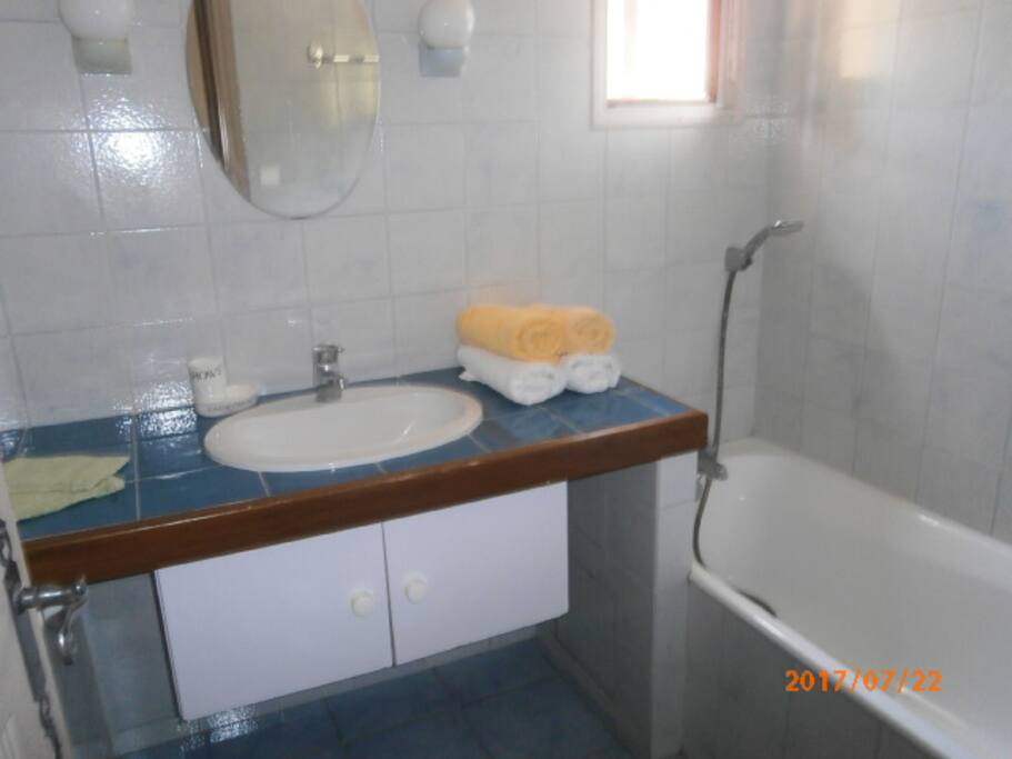 Salle de bain 1 (toilettes séparées)