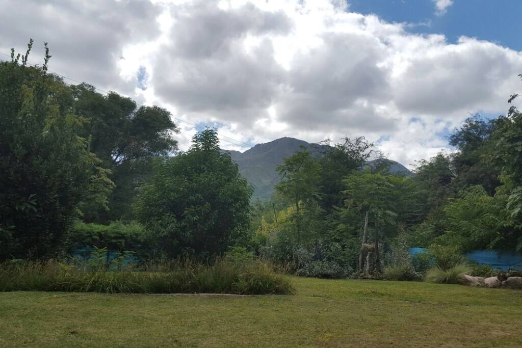 Jardín frente de la casa