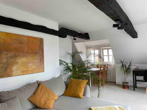 Bright apartment on the old town island