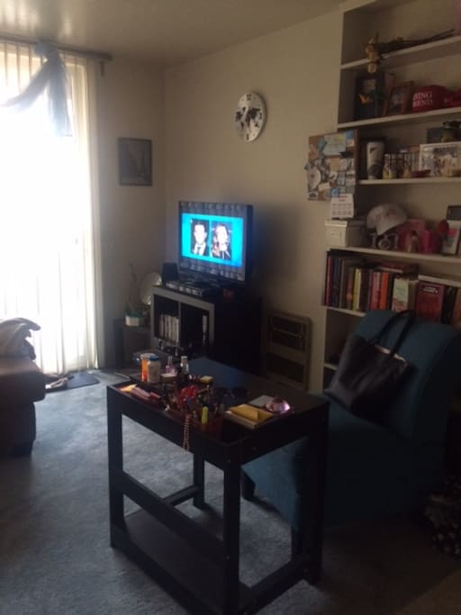 This is the view of the living room with a insulated wall shelf. NOTE: TV, cable, wifi, Desk space & lounge chair are NOT available.