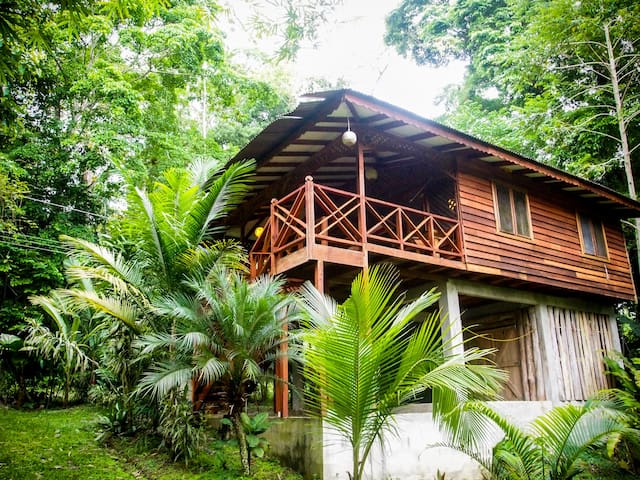 Custom Jungle House by the Ocean!