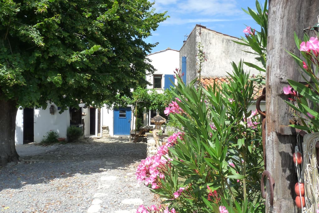 la cour, l'arrière de la maison