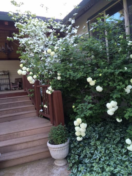 Flowers Welcome You
