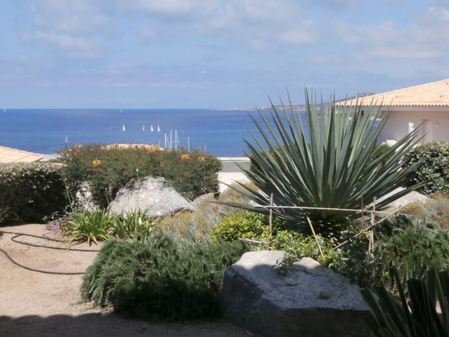 Jardin 1