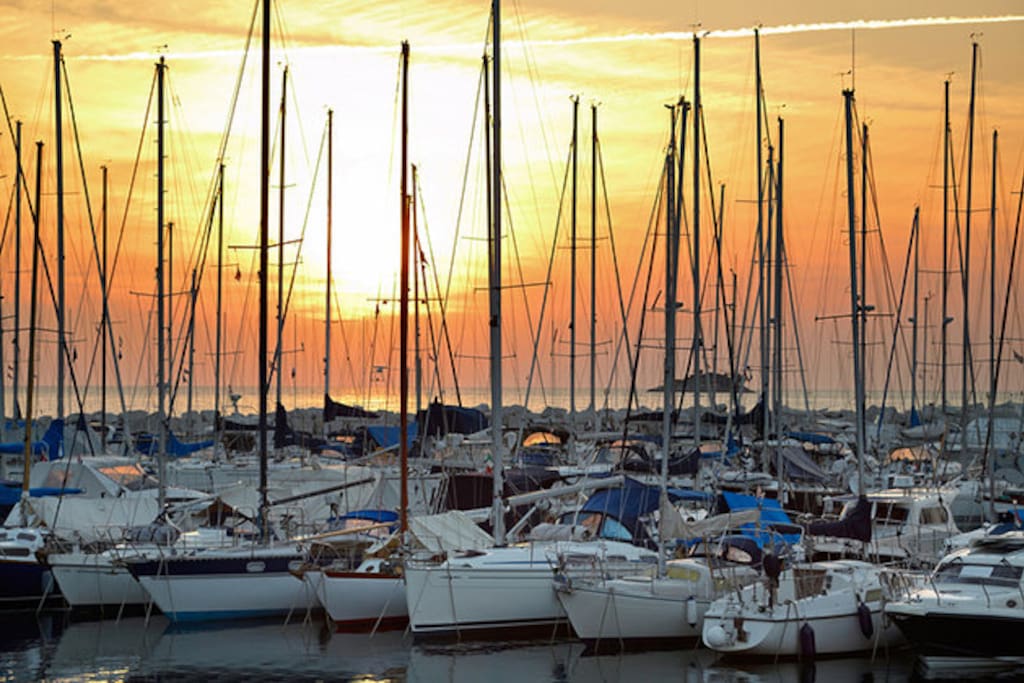 Marine Trogir