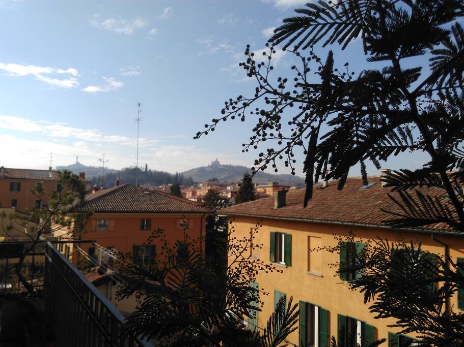 A terrace with a view