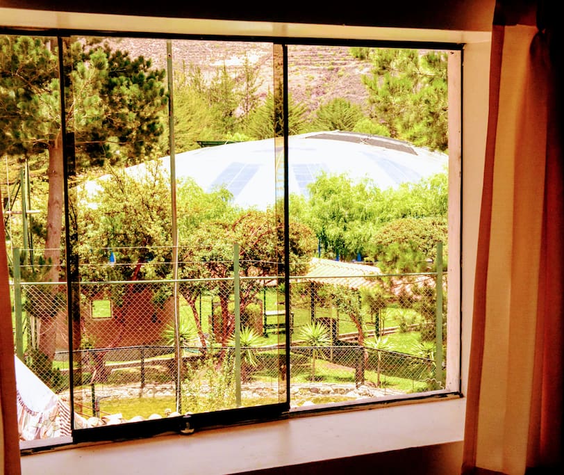 view from single room window