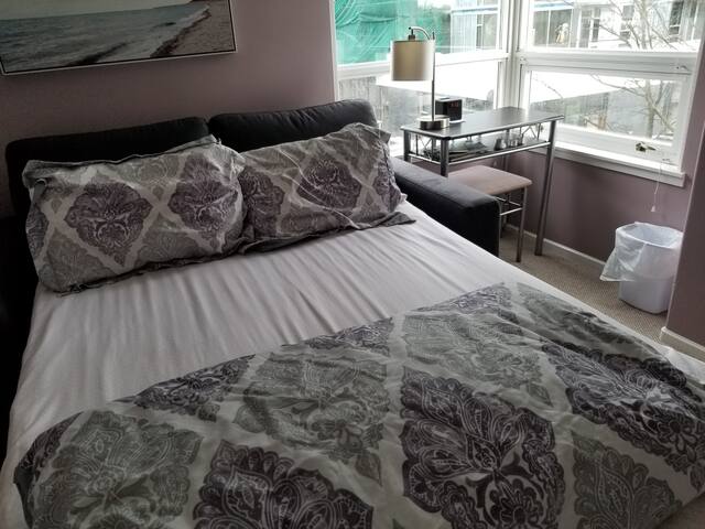 Downtown shared two bedroom condo with cat. :)