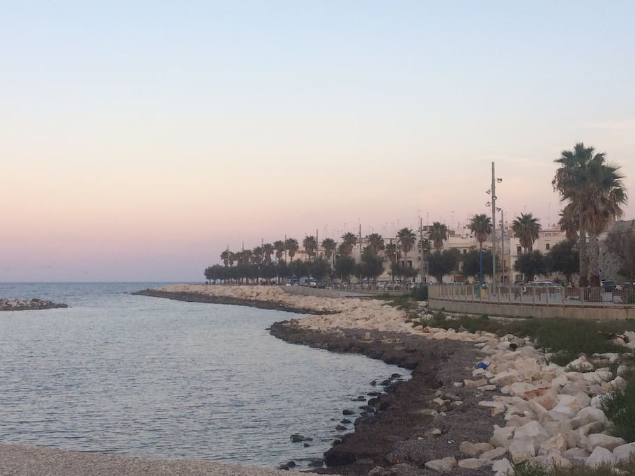 Walking close the sea.
