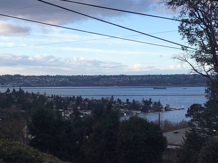 View to Browns Point park from Airbnb