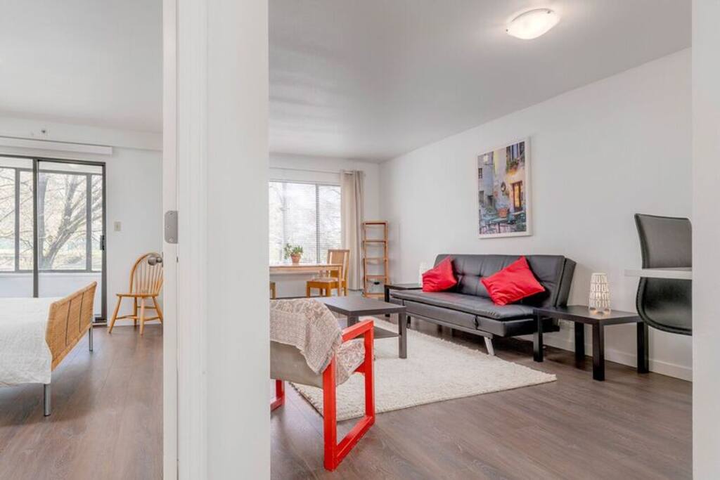 Bedroom/Living Room