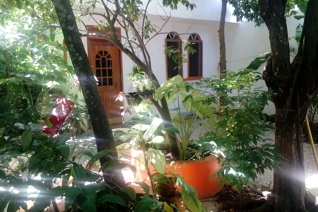 Vista exterior desde el jardín