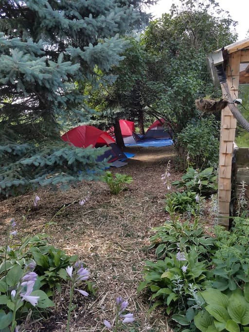 Your accommodations - 4man tent with pads: protected and sheltered