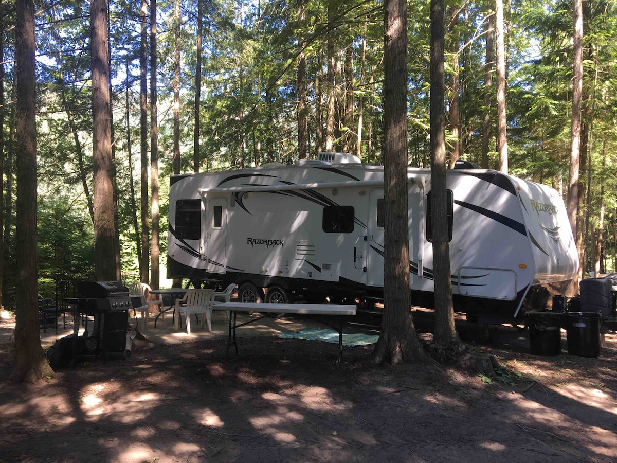 Riverfront RV located in forest of Sicamous BC Campers/RVs for Rent