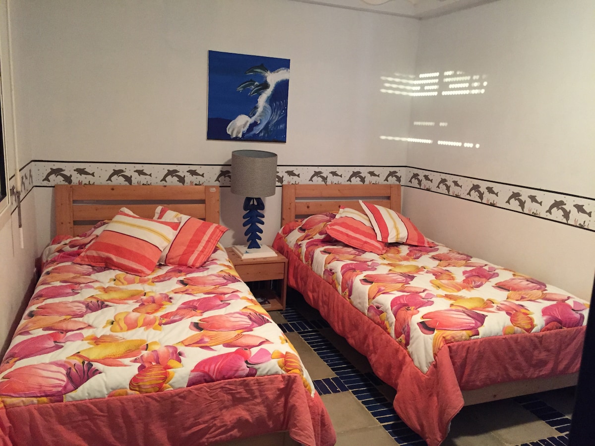 Стая с дофин