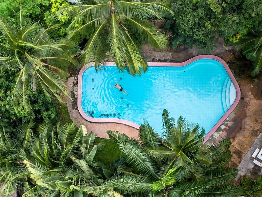 The papaya shaped pool