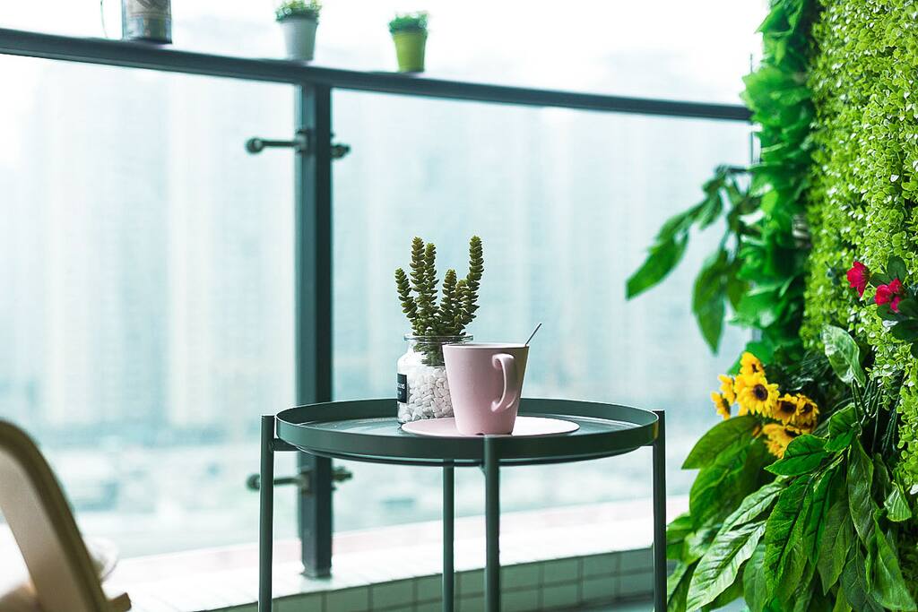 植物墙和休闲的午后时光