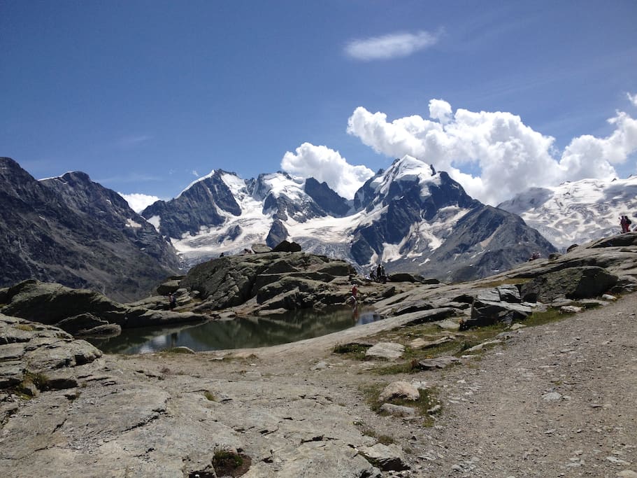 Aussicht auf Bernina mit Biancograd (4 Std. Fussmarsch von der Wohnung)