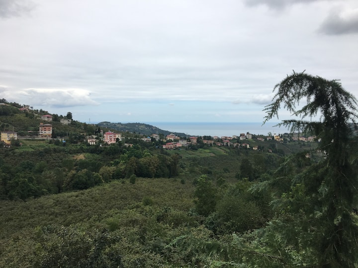 Village House With Natural Sea View
Merkez Köyde