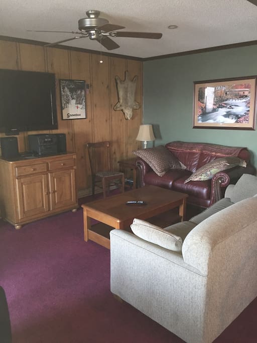Living room with TV and gas fireplace