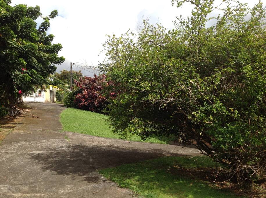 Arbres fruitiers