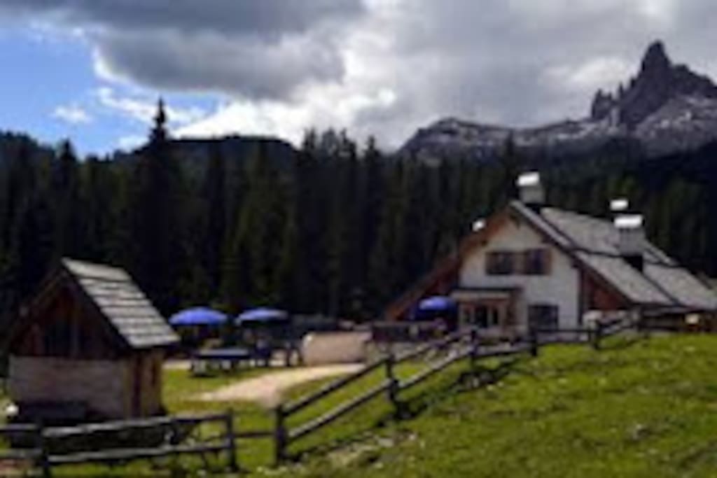 La radura di Malga Federa