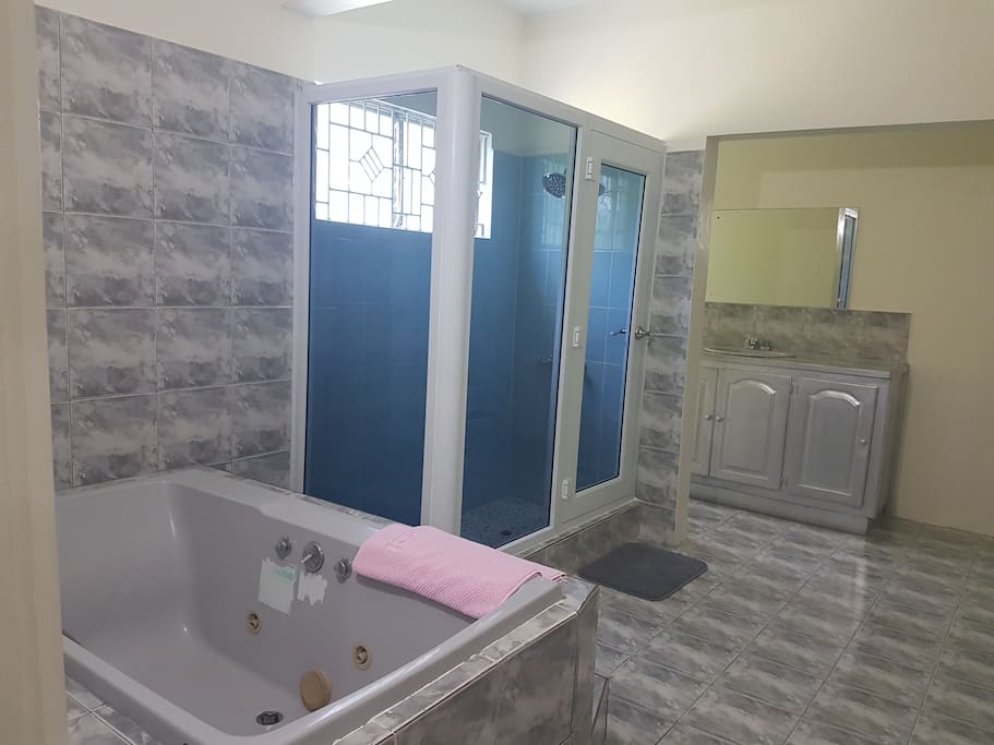 Master bath - jacuzzi and shower