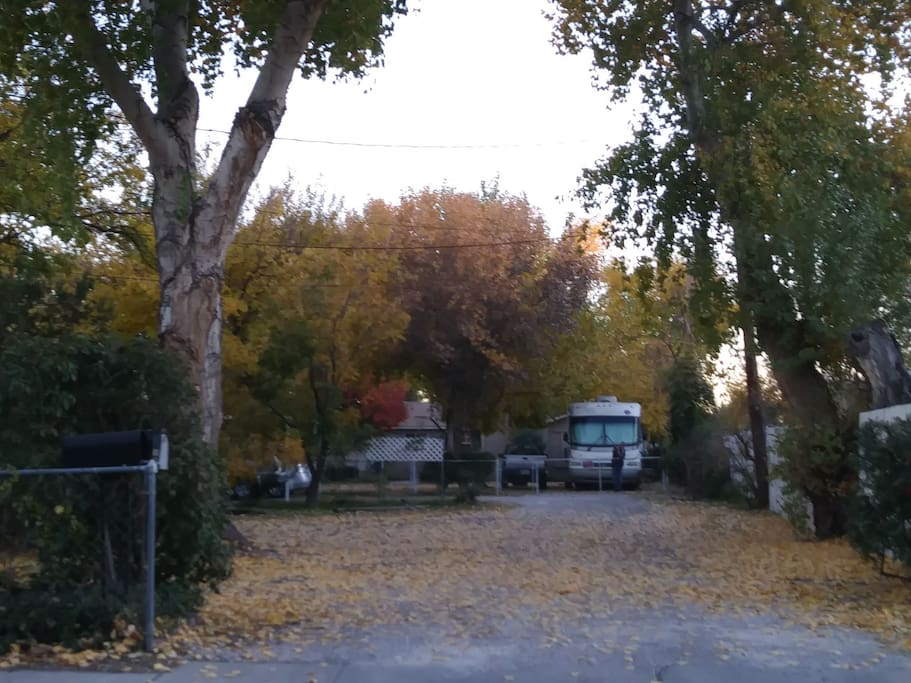 This is the driveway to the Casitas. There are 3 mailboxes ( in the left hand lower corner of this picture) that can be seen from the street. The casita will be on the left, halfway down the road.