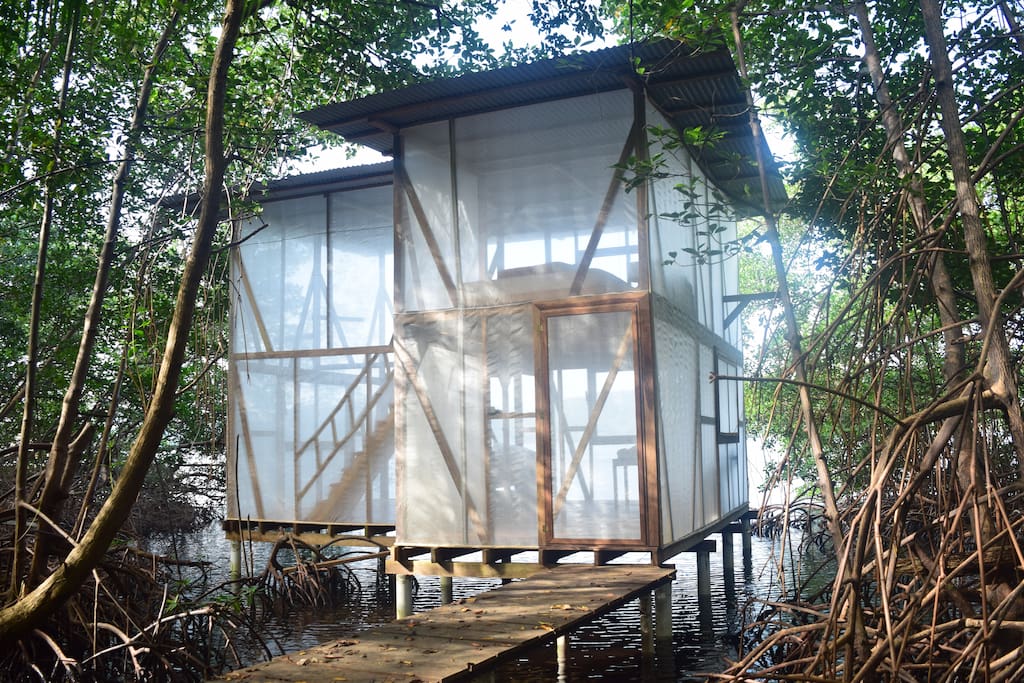the mangrove treehouse - transparent and breezy!
