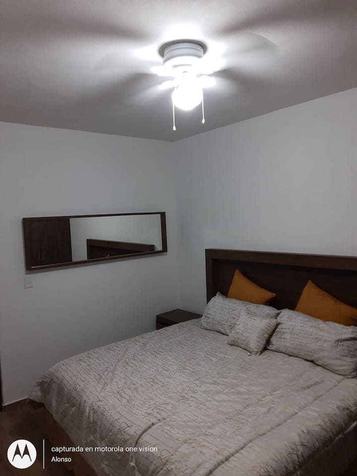 غرفة نوم رئيسية بسرير كبير