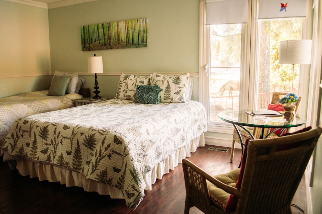 Suite bedroom overlooking the miniature horse paddock