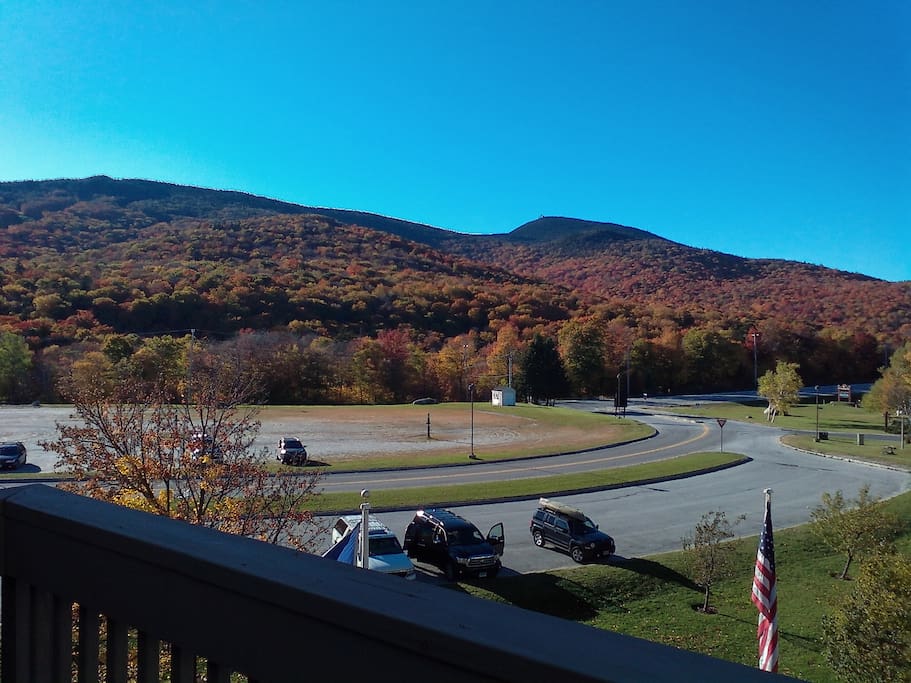 View from the Deck