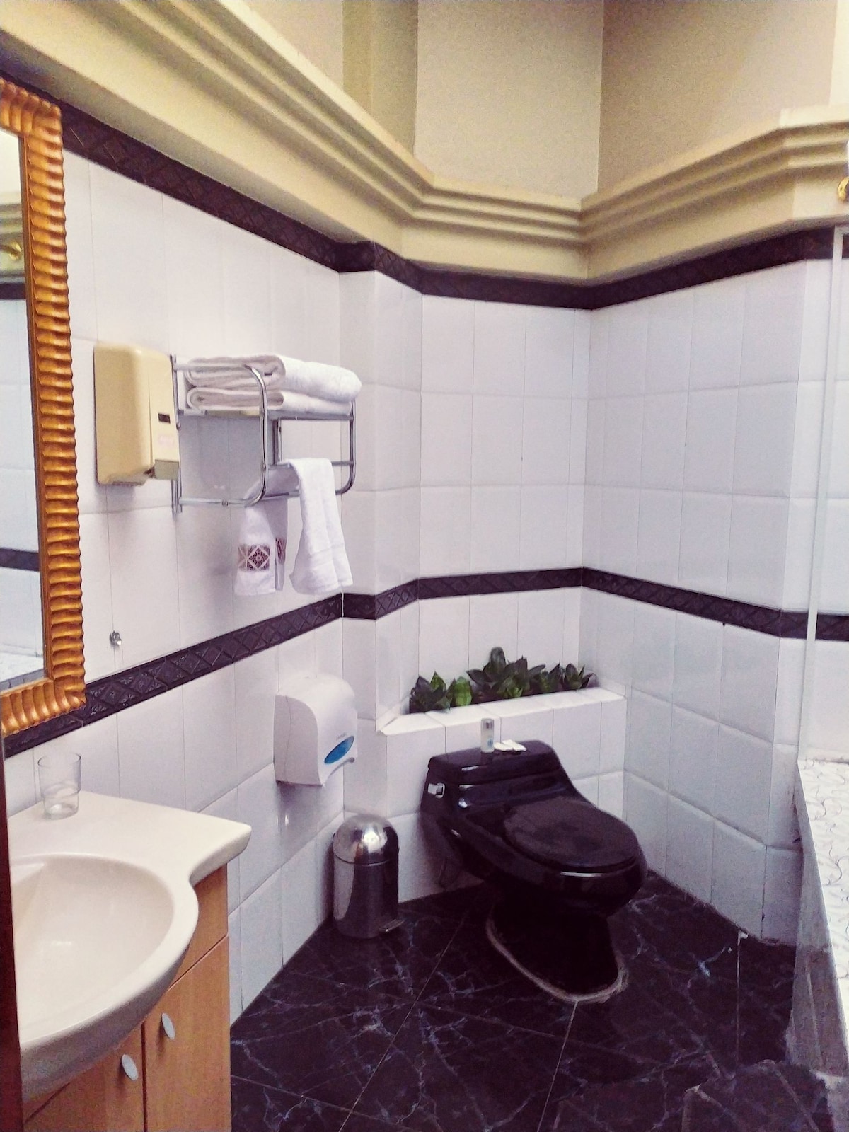 A spacious bathroom featuring white tiled walls and dark marble flooring. A black toilet is positioned next to a small area with plants. A sink with wooden cabinetry is present, accompanied by a mirrored wall and neatly arranged towels. Basic toiletries are also visible.