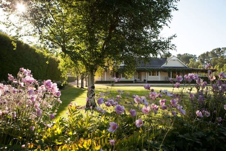 Beautifully designed garden retreat