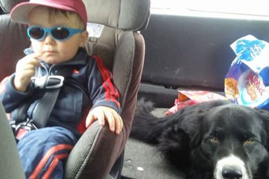 Le Bébé... et le Chien