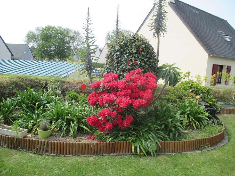 Jardin