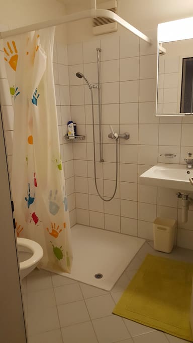 The toilet room.(화장실과 샤워부스가 함께있습니다.)