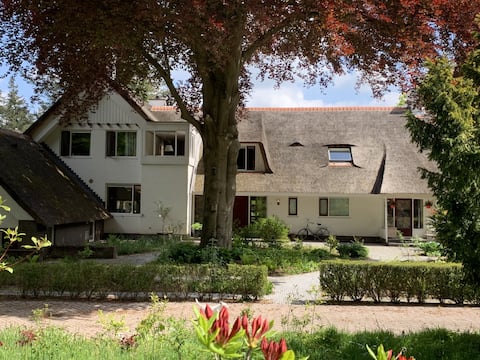 Guest house of country house with forest and meadow