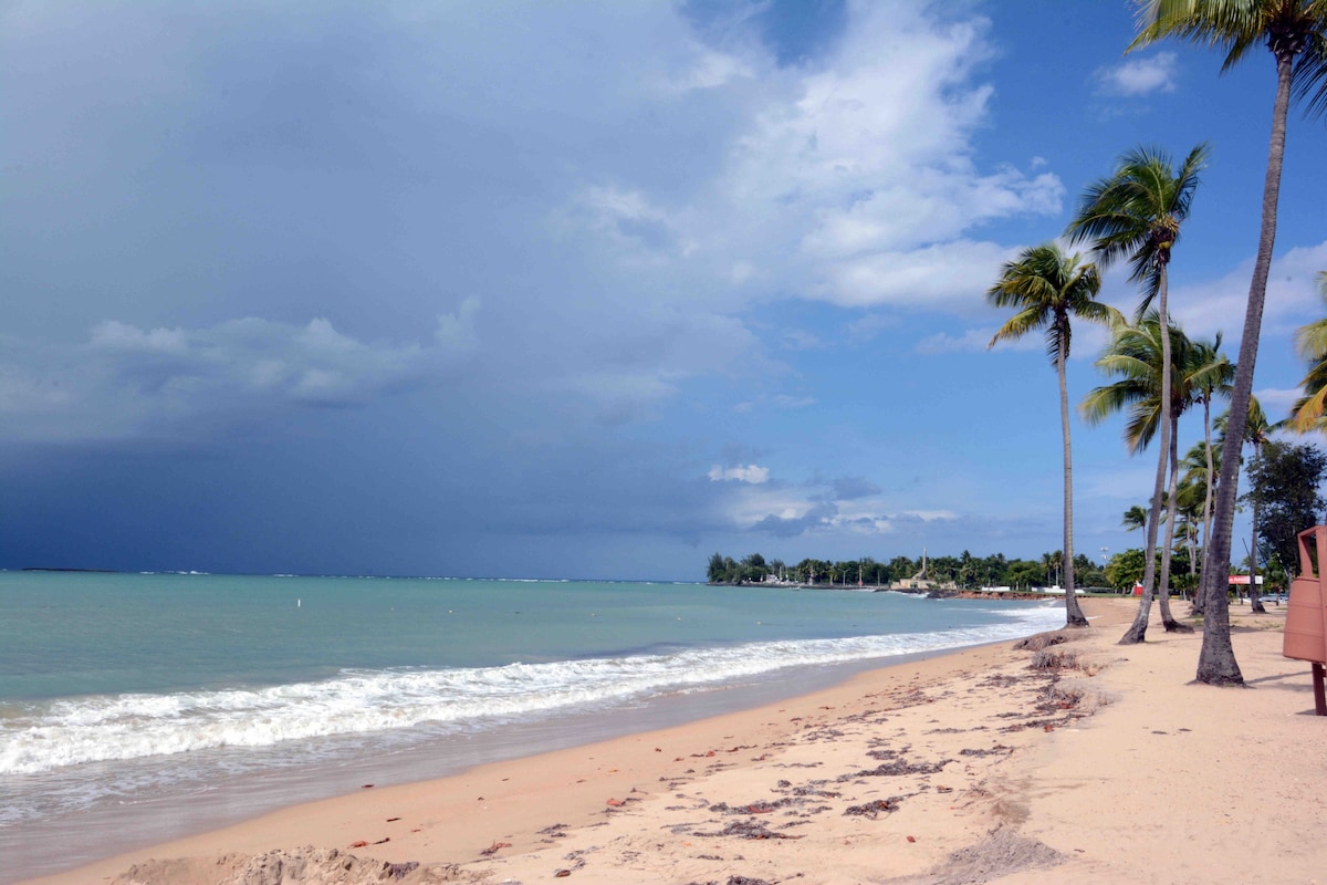 A serene beach scene displays soft waves lapping at the shoreline, framed by tall palm trees. The sky transitions from blue to cloudy gray, indicating a mix of weather, while sand stretches along the coast, dotted with small patches of seaweed.